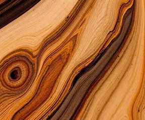 Hardwood Floor Maintenance: Simple Tips to Protect Your Investment